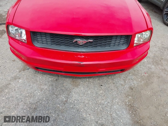 2005 Ford Mustang Deluxe with VIN 1ZVFT84N855183256, listed as a IAAI auction lot 42657956 with 166,398 mi miles and . Bid and sale history available at DreamBid. Image 6.