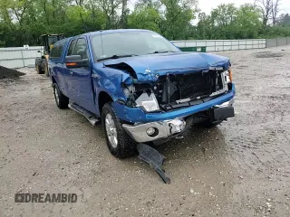 2013 Ford F-150 XL with VIN 1FTFX1EFXDKF24596, listed as a Copart auction lot 58625055 with 45,676 mi miles and Clean title. Bid and sale history available at DreamBid. Image 13.