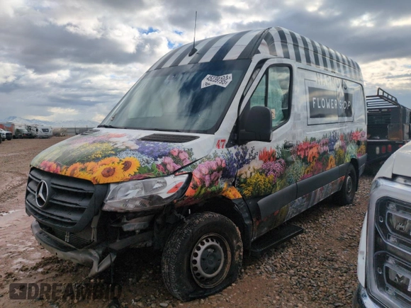 2020 Mercedes-Benz Sprinter with VIN W1W4EBHY6LT030247, listed as a Copart auction lot 45239795 with Not Provided miles and Salvage Title. Bid and sale history available at DreamBid. Image 1.