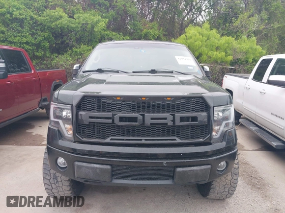 2010 Ford F-150 XL with VIN 1FTFW1EV0AFA33744, listed as a IAAI auction lot 41954351 with 288,242 mi miles and . Bid and sale history available at carsss.com. Image 6.
