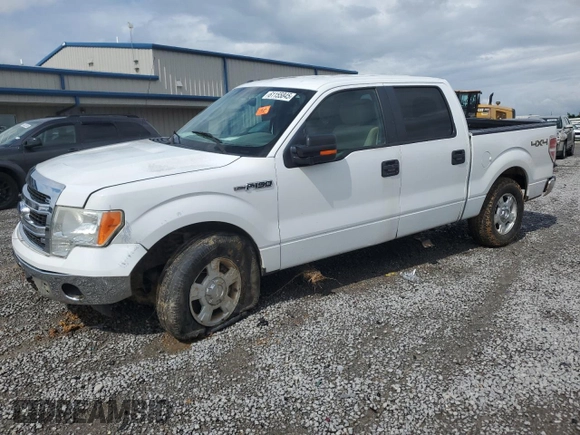 2013 Ford F-150 XL with VIN 1FTFW1EF7DKE89244, listed as a Copart auction lot 61155845 with 158,207 mi miles and Salvage title. Bid and sale history available at DreamBid. Image 1.