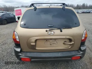 2002 Hyundai Santa Fe GLS with VIN KM8SC13D92U319473, listed as a Copart auction lot 50300365 with 112,352 mi miles and Clean Title. Bid and sale history available at carsss.com. Image 6.