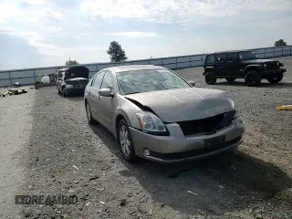 2006 Nissan Maxima SL with VIN 1N4BA41E36C845087, listed as a Copart auction lot 61875455 with 61,872 mi miles and Salvage title. Bid and sale history available at DreamBid. Image 13.