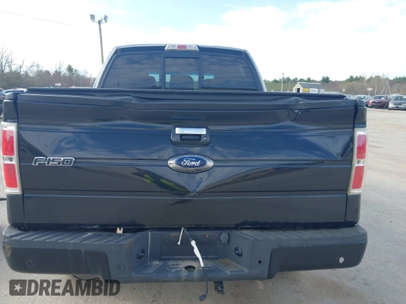 2011 Ford F-150 XLT with VIN 1FTFW1ET7BFA54123, listed as a IAAI auction lot 42119218 with 208,258 mi miles. Bid and sale history available at carsss.com. Image 6.