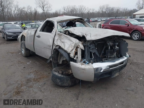 2009 Chevrolet Silverado 1500 with VIN 1GCEC24C69Z138132, listed as a IAAI auction lot 41209078 with 171,422 mi miles and . Bid and sale history available at DreamBid. Image 1.