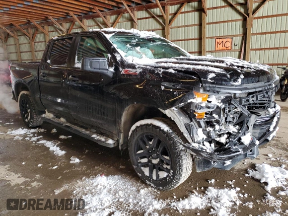 2022 Chevrolet Silverado 1500 Custom Trail Boss with VIN 3GCPDCEK0NG608635, listed as a Copart auction lot 81301514 with 46,289 mi miles and Salvage Title. Bid and sale history available at carsss.com. Image 4.