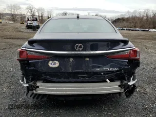 2021 Lexus ES 250 with VIN 58AD11D14MU003669, listed as a Copart auction lot 50762165 with 25,117 mi miles and Salvage title. Bid and sale history available at DreamBid. Image 6.
