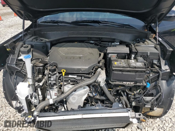 2024 Kia Telluride LX with VIN 5XYP24GC2RG494627, listed as a Copart auction lot 57634015 with 32,680 mi miles and Salvage title. Bid and sale history available at DreamBid. Image 12.