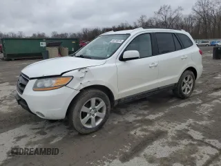 2009 Hyundai Santa Fe SE with VIN 5NMSH73E29H307524, listed as a Copart auction lot 49218075 with 207,516 mi miles and Salvage title. Bid and sale history available at DreamBid. Image 1.