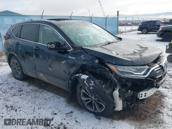 2020 Honda CR-V EX-L with VIN 7FART6H86LE006441, listed as a IAAI auction lot 41032430 with 67,426 mi miles and . Bid and sale history available at DreamBid. Image 1.