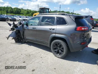 2017 Jeep Cherokee Trailhawk with VIN 1C4PJMBSXHW600230, listed as a Copart auction lot 55606665 with Not provided miles and Salvage title. Bid and sale history available at DreamBid. Image 2.