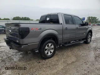 2012 Ford F-150 XL with VIN 1FTFW1ETXCFC20538, listed as a Copart auction lot 58801535 with 204,724 mi miles and Salvage title. Bid and sale history available at DreamBid. Image 3.