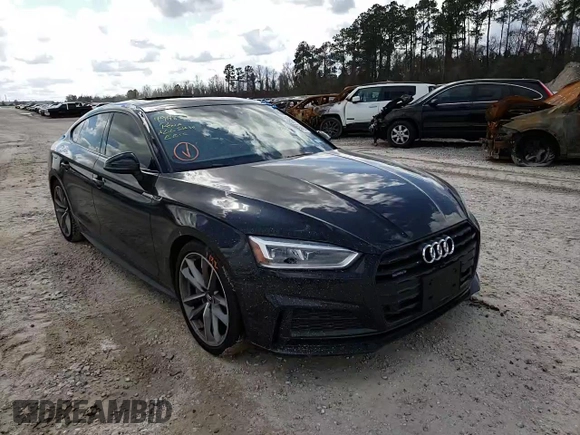 2019 Audi A5 Sportback Premium Plus with VIN WAUENCF59KA094451, listed as a Copart auction lot 39741983 with 15,742 mi miles. Bid and sale history available at carsss.com. Image 11.