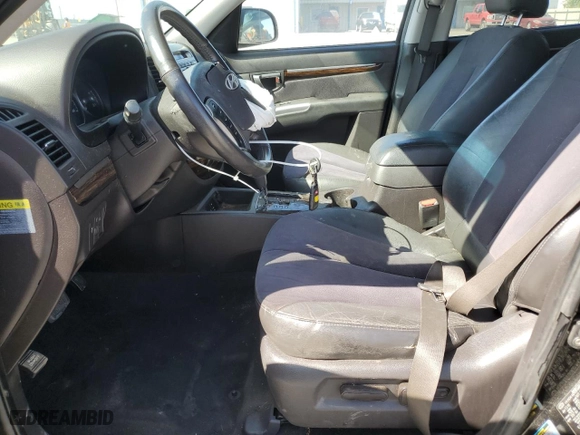 2010 Hyundai Santa Fe SE with VIN 5NMSH4AG9AH359255, listed as a Copart auction lot 52971205 with 119,224 mi miles and Clean Title. Bid and sale history available at carsss.com. Image 7.