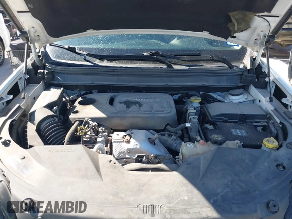 2019 Jeep Cherokee Latitude Plus with VIN 1C4PJLLNXKD290098, listed as a IAAI auction lot 40840063 with 202,244 mi miles and . Bid and sale history available at DreamBid. Image 10.