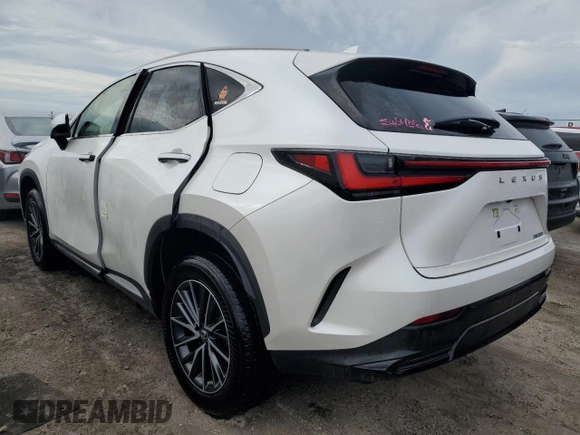 2022 Lexus NX with VIN JTJADCAZ1N5001141, listed as a Copart auction lot 75217764 with 0 mi miles and Salvage Title. Bid and sale history available at carsss.com. Image 2.