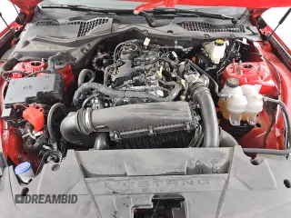 2024 Ford Mustang EcoBoost с VIN 1FA6P8TH9R5120729, выставлен на аукционе Copart как лот 60975075 с пробегом 24 427 миль миль и Списание • Salvage title. История ставок и продаж доступна на DreamBid. Изображение 11.