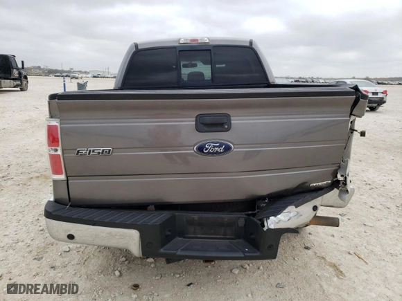 2013 Ford F-150 XL with VIN 1FTEW1CM5DFC29074, listed as a Copart auction lot 48265805 with 171,912 mi miles and Salvage Title. Bid and sale history available at carsss.com. Image 6.