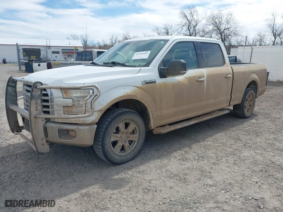2015 Ford F-150 XLT w/HD Payload Pkg with VIN 1FTFW1EF3FFB70225, listed as a IAAI auction lot 41890185 with 169,564 mi miles. Bid and sale history available at carsss.com. Image 2.