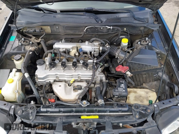 2006 Nissan Sentra S with VIN 3N1CB51D66L590709, listed as a IAAI auction lot 41562019 with 244,269 mi miles and . Bid and sale history available at DreamBid. Image 10.
