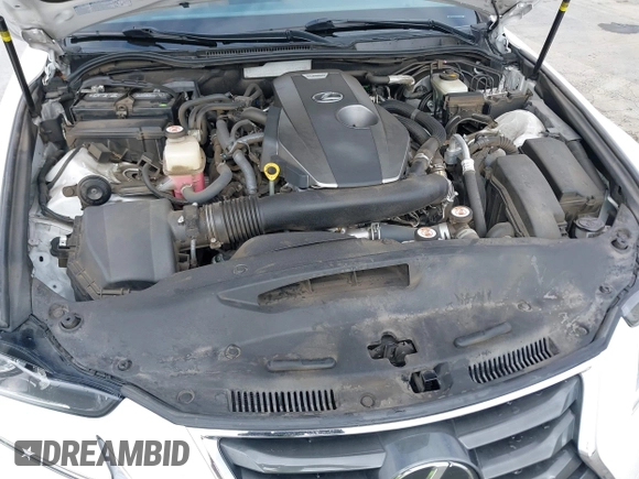 2019 Lexus IS 300 with VIN JTHBA1D25K5088670, listed as a IAAI auction lot 42617262 with 76,965 mi miles and . Bid and sale history available at DreamBid. Image 10.