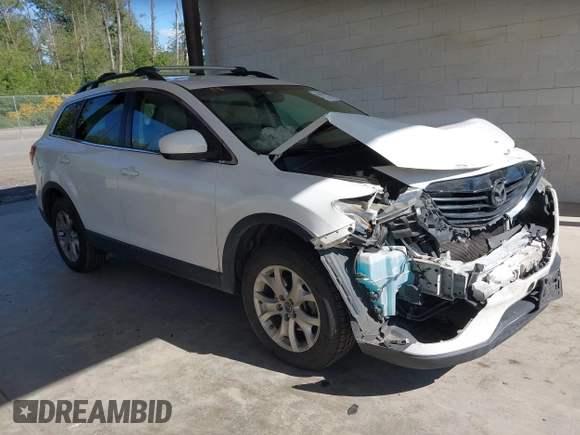 2013 Mazda CX-9 Touring with VIN JM3TB3CV7D0404510, listed as a IAAI auction lot 42385230 with 182,233 mi miles and . Bid and sale history available at DreamBid. Image 1.