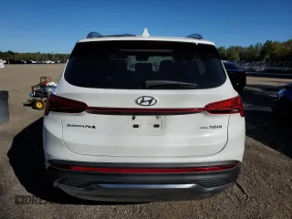 2023 Hyundai Santa Fe Hybrid Luxury with VIN KM8S5DA16PU083439, listed as a Copart auction lot 73414204 with 54,606 mi miles and Clean Title. Bid and sale history available at carsss.com. Image 6.