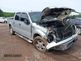 2010 Ford F-150 XL with VIN 1FTEW1C88AFA81033, listed as a IAAI auction lot 42353940 with 183,125 mi miles and . Bid and sale history available at DreamBid. Image 1.
