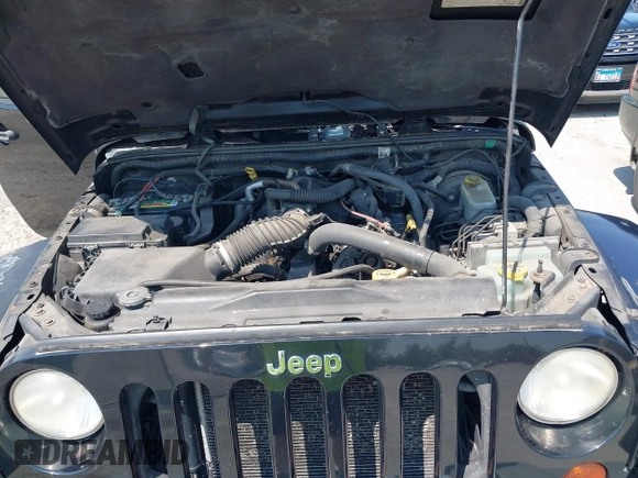 2009 Jeep Wrangler Sahara with VIN 1J4FA541X9L763737, listed as a IAAI auction lot 42721115 with 166,663 mi miles and . Bid and sale history available at DreamBid. Image 10.