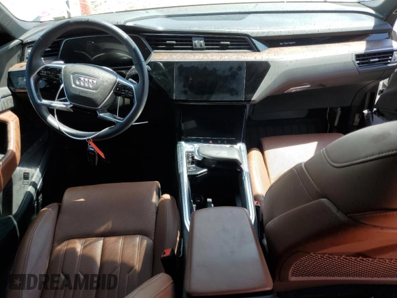 2019 Audi e-tron Prestige with VIN WA1VABGE8KB022801, listed as a Copart auction lot 52213123 with 28,988 mi miles. Bid and sale history available at carsss.com. Image 8.