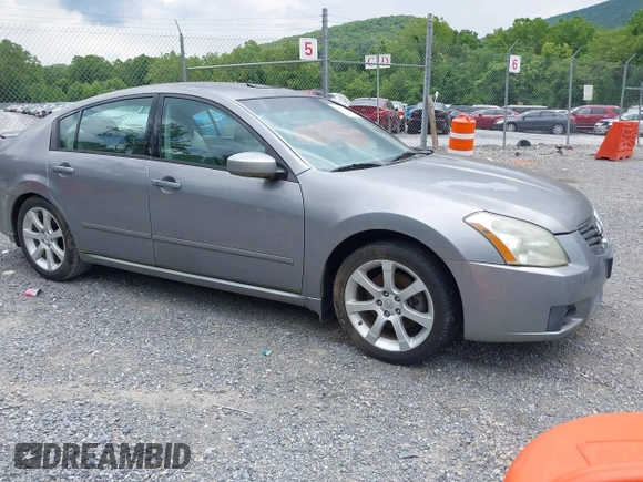2007 Nissan Maxima SL with VIN 1N4BA41E77C850732, listed as a IAAI auction lot 42636386 with 128,565 mi miles and . Bid and sale history available at DreamBid. Image 1.