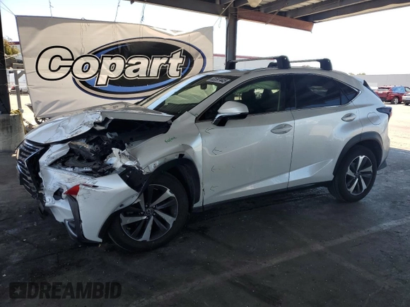 2019 Lexus NX 300 with VIN JTJBARBZ6K2207406, listed as a Copart auction lot 63597445 with 128,788 mi miles and Salvage title. Bid and sale history available at DreamBid. Image 1.