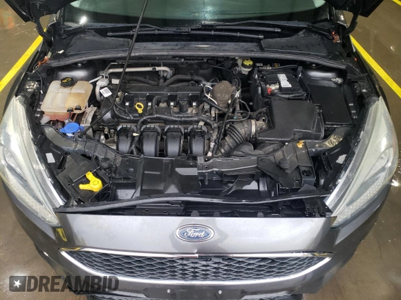 2016 Ford Focus SE with VIN 1FADP3F23GL289039, listed as a Copart auction lot 51510925 with 117,640 mi miles and Salvage Title. Bid and sale history available at carsss.com. Image 11.