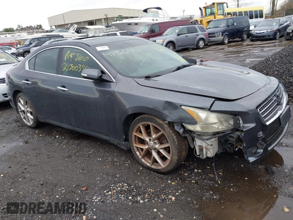 2010 Nissan Maxima 3.5 SV with VIN 1N4AA5AP2AC813162, listed as a IAAI auction lot 41966140 with Not Provided miles. Bid and sale history available at carsss.com. Image 1.