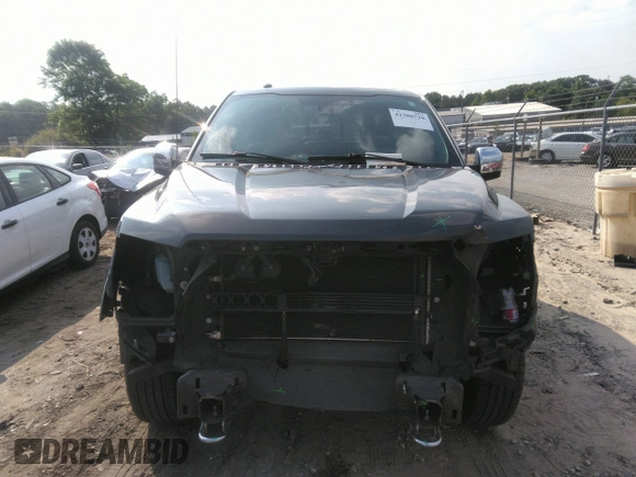 2016 Ford F-150 XLT with VIN 1FTEW1EF3GFB49968, listed as a IAAI auction lot 42380710 with 138,953 mi miles and . Bid and sale history available at DreamBid. Image 12.