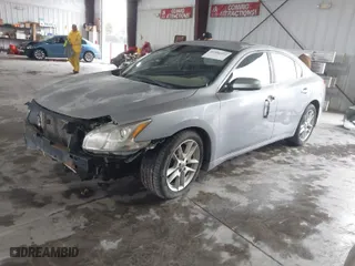 2009 Nissan Maxima 3.5 SV w/Sport Pkg with VIN 1N4AA51E69C843002, listed as a IAAI auction lot 41506031 with 215,013 mi miles. Bid and sale history available at carsss.com. Image 2.
