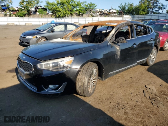 2014 Kia Cadenza Premium with VIN KNALN4D76E5131857, listed as a Copart auction lot 62322354 with Not Provided miles and Salvage Title. Bid and sale history available at carsss.com. Image 1.