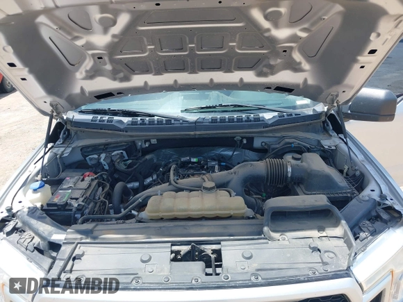 2019 Ford F-150 XL with VIN 1FTEW1EP5KKD24620, listed as a IAAI auction lot 42631896 with 123,583 mi miles and . Bid and sale history available at DreamBid. Image 10.