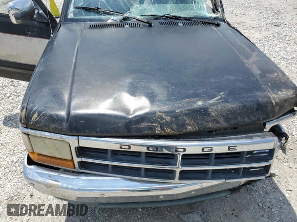 1995 Dodge Dakota z VIN 1B7GL23Y9SS385794, wystawiony jako Copart lot #63360094 z przebiegiem 394 435 mil mil oraz Szkoda całkowita • Salvage title. Historia ofert i sprzedaży dostępna na DreamBid. Obrazek 12.