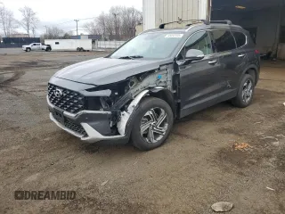 2023 Hyundai Santa Fe SEL with VIN 5NMS2DAJ8PH615990, listed as a Copart auction lot 50056545 with 12,979 mi miles and Clean Title. Bid and sale history available at carsss.com. Image 1.