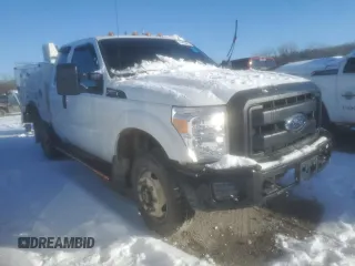 2016 Ford Super Duty F-250 SRW XLT with VIN 1FT7X2B65GEA40420, listed as a Copart auction lot 44855975 with 376,473 mi miles and Clean Title. Bid and sale history available at carsss.com. Image 4.