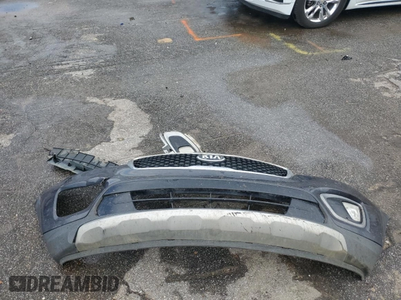 2016 Kia Sorento EX with VIN 5XYPH4A14GG015269, listed as a Copart auction lot 61449925 with 250,605 mi miles and Salvage title. Bid and sale history available at DreamBid. Image 13.