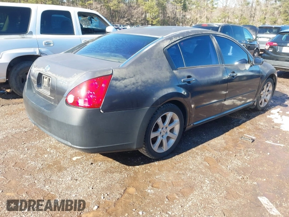 2008 Nissan Maxima 3.5 SL with VIN 1N4BA41E48C828298, listed as a IAAI auction lot 41296157 with 1 mi miles. Bid and sale history available at carsss.com. Image 4.