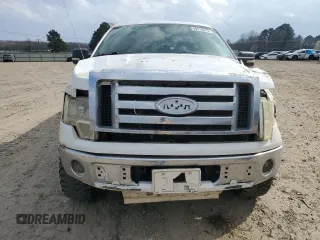2009 Ford F-150 STX with VIN 1FTRX12809FA07861, listed as a Copart auction lot 49316575 with 167,389 mi miles and Clean Title. Bid and sale history available at carsss.com. Image 5.