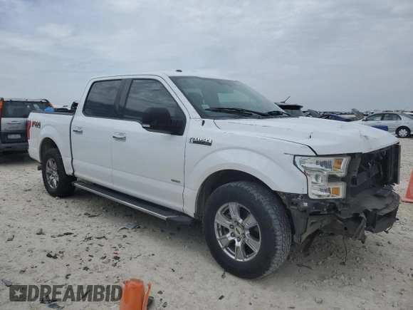 2017 Ford F-150 XL with VIN 1FTEW1EP6HKC53436, listed as a Copart auction lot 47133935 with 171,017 mi miles and Salvage Title. Bid and sale history available at carsss.com. Image 4.