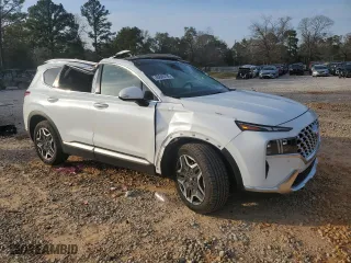 2021 Hyundai Santa Fe Limited with VIN 5NMS44AL7MH316966, listed as a Copart auction lot 45665785 with 60,176 mi miles and Salvage Title. Bid and sale history available at carsss.com. Image 4.