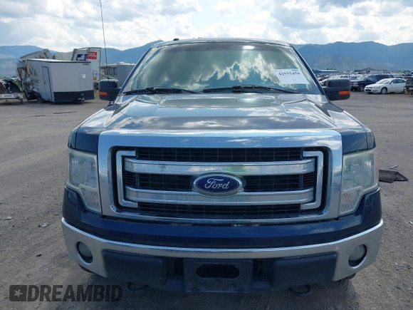 2014 Ford F-150 XL with VIN 1FTFX1EF3EFC36039, listed as a IAAI auction lot 42555459 with Not provided miles and . Bid and sale history available at DreamBid. Image 12.