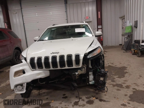 2016 Jeep Cherokee Latitude with VIN 1C4PJMCB1GW119621, listed as a IAAI auction lot 41310872 with 123,841 mi miles. Bid and sale history available at carsss.com. Image 12.