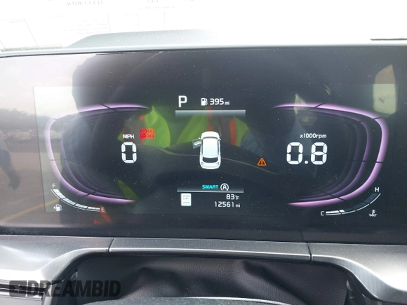 2025 Kia Telluride S with VIN 5XYP64GC0SG581646, listed as a IAAI auction lot 42063284 with 12,561 mi miles and . Bid and sale history available at DreamBid. Image 7.