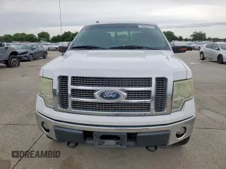 2010 Ford F-150 XL with VIN 1FTFW1EV9AFB45006, listed as a Copart auction lot 59585915 with 219,756 mi miles and Salvage title. Bid and sale history available at DreamBid. Image 5.
